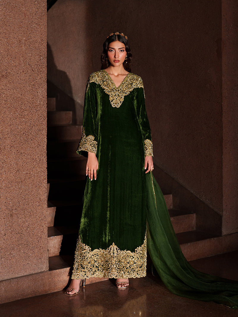 CAIA Sage henna green hand-embroidered velvet dress for women with sheer organza dupatta